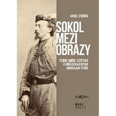 Sokol mezi obrazy