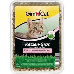 Gimborn GimCat Котешка трева в кутия 150 г