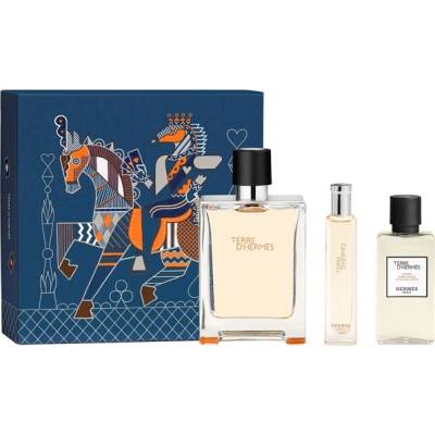 Hermès Terre D'Hermes Комплект (EDT 100ml + EDT 15ml + AS Lotion 40ml) за Мъже