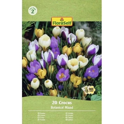 Krokusy FloraSelf 'Botanický mix' 20 ks