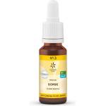 Lemon Pharma Цветна есенция от Жълтуга (Прещип), по метода на д-р Бах 20 ml капки | Lemon Pharma (900113 LP)