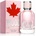 Dsquared2 Wood for Her EDT 100 ml