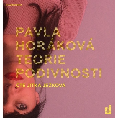 Teorie podivnosti - Pavla Horáková