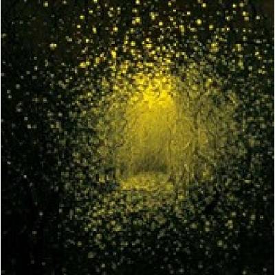 Antlers - Burst Appart CD
