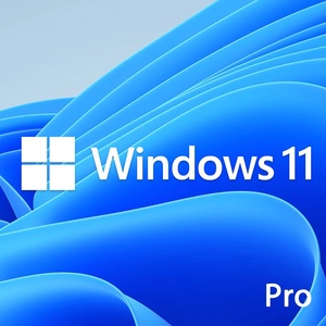Microsoft Операционна система Windows 11 Pro OEM English 64-битов (нелицензионен) (Windows 11 Pro Cd Key Retail)