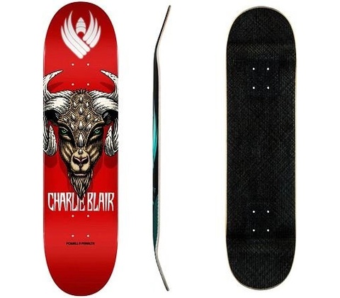 POWELL PERALTA Flight