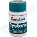 Himalaya Cystone 100 tablet