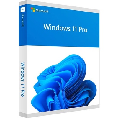 Microsoft MS DSP Win Pro 11 64Bit Eng Intl 1pk OEM DVD