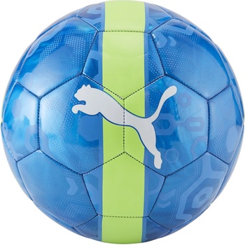 Puma CUP