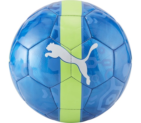 Puma CUP
