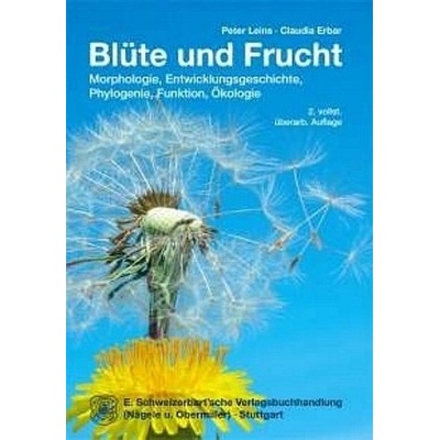 Blüte und Frucht