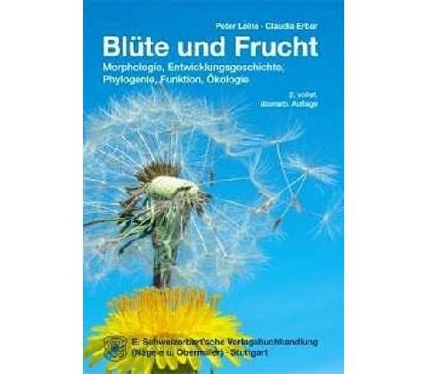 Blüte und Frucht