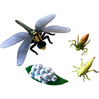 Animal Life Životný cyklus Vážky