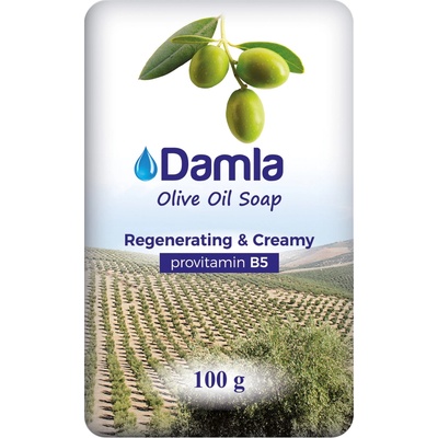 Tuhé zvhlčujúce mydlo DAMLA RC 100 g