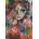 Magnolia - Puzzle Chaotic Beauty - Romi Lerda Special Edition - 1 000 piese