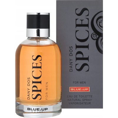 Blue Up Dany Dos Spices toaletní voda pánská 100 ml