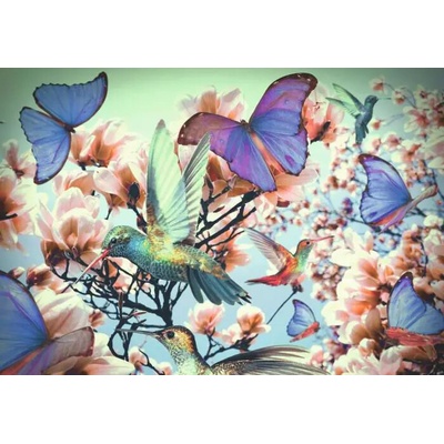 Ravensburger Kolibríky a motýle 300 dielov