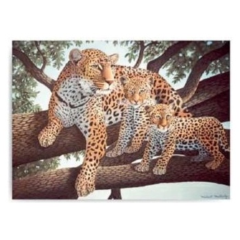 Malování podle čísel Leopard s mláďaty