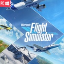 Flight Simulator