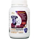 Vitamíny a doplňky stravy pro psy Orling - Gelacan Champion psi černobílá plemena 150 g