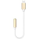 USAMS SJ092 Adapter Lightning