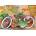 Magnolia - Puzzle Bicycle with Flowers - 1 000 piese