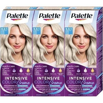 Palette Barva na vlasy C9 (9,5-1) Stříbrná blond x3