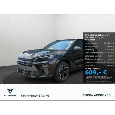 Cupra Terramar 1.5 eTSI DSG 110 kW