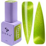 DNKa Гел лак DNKa Cats Eye 12 мл. 0006 (FTCGP0006)