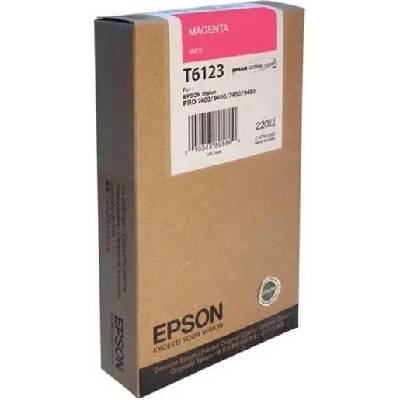 Epson T6123