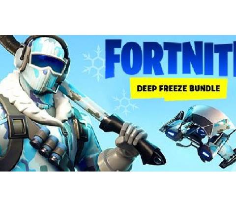Fortnite: Deep Freeze Bundle