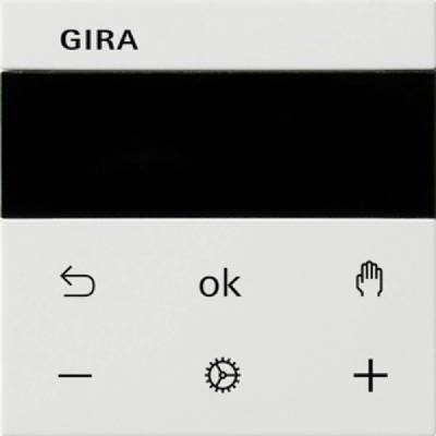GIRA 539403