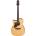 Ibanez AAD170LCE-LGS