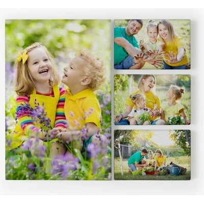 FotoŠkoda Viacdielny obraz - 3 fotoplátna 30 × 45 a fotoplátno 70 × 100 cm