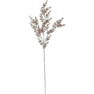 KONÁR EUCALYPT ŠAMPÁŇ 76CM