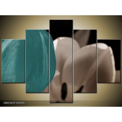 Moderní obraz F002507F150105 (Pětidílný 150x105 cm)