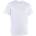 ION Ionic SS men White