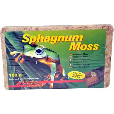 Lucky Reptile Sphagnum Moos 500 g