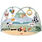Tiny Love Активна гимнастика Tiny Love - Dynamic Gymini, Farmers Funday, 0-36 m (TL.0134.001)
