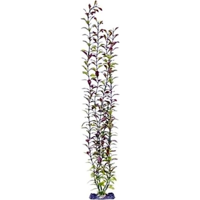 Penn Plax Blooming Ludwigia Red Giant 56 cm
