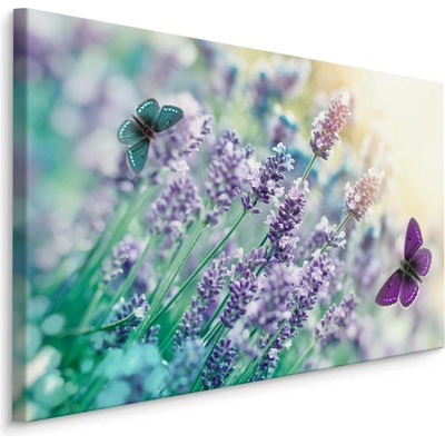 Plátno Levandule A Motýli Varianta: 70x50