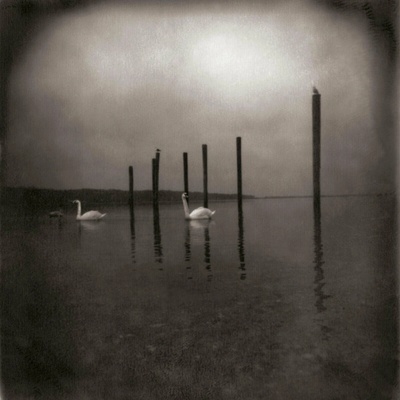 Om - Conference Of The Birds LP