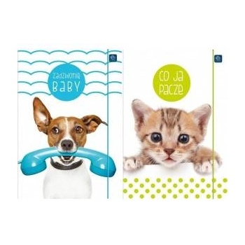 Interdruk Briefcase with elastic band A4+ LUX UV Puppy Sign (10pcs)