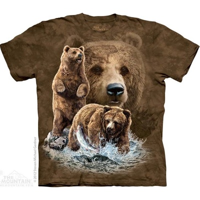 The Mountain Find 10 Brown Bears hnedé