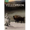 Yellowstone DVD