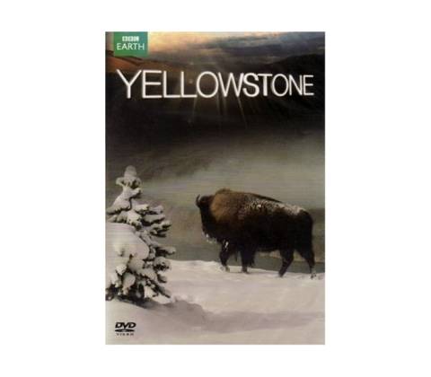 Yellowstone DVD