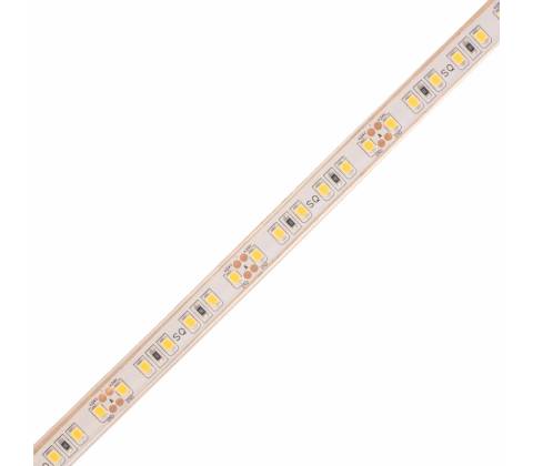 T-LED 079531