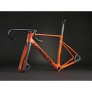 Trigon AR01Speed 2025