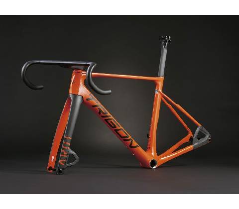 Trigon AR01Speed 2025