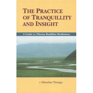 Practice of Tranquillity and Insight | Khenchen Thrangu (ISBN: 9781559391061)